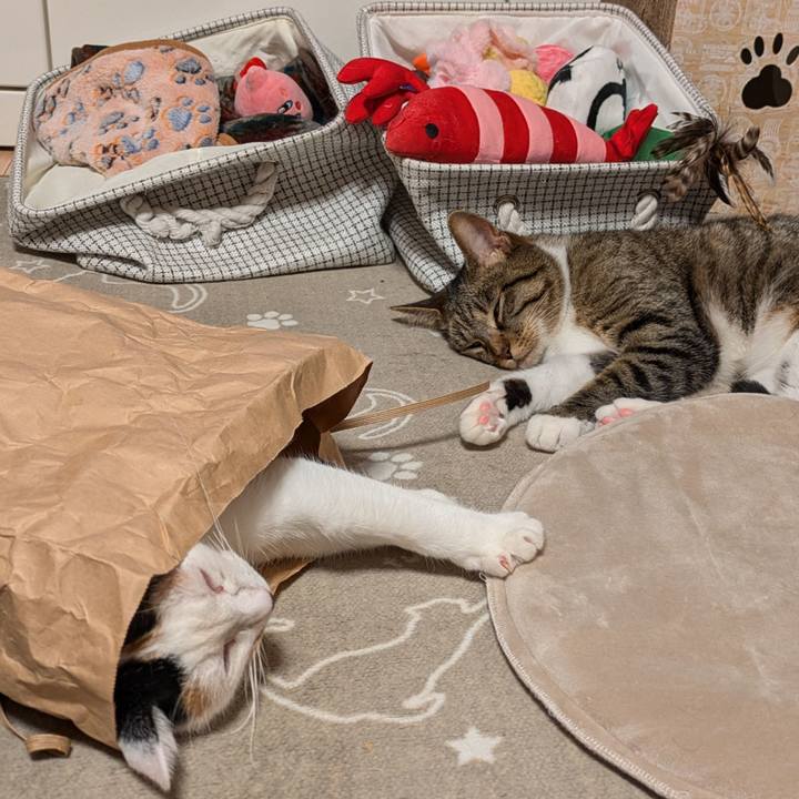 8c60cdb0 6fef 48db 8615 0fbdc46ae009 1731757290990