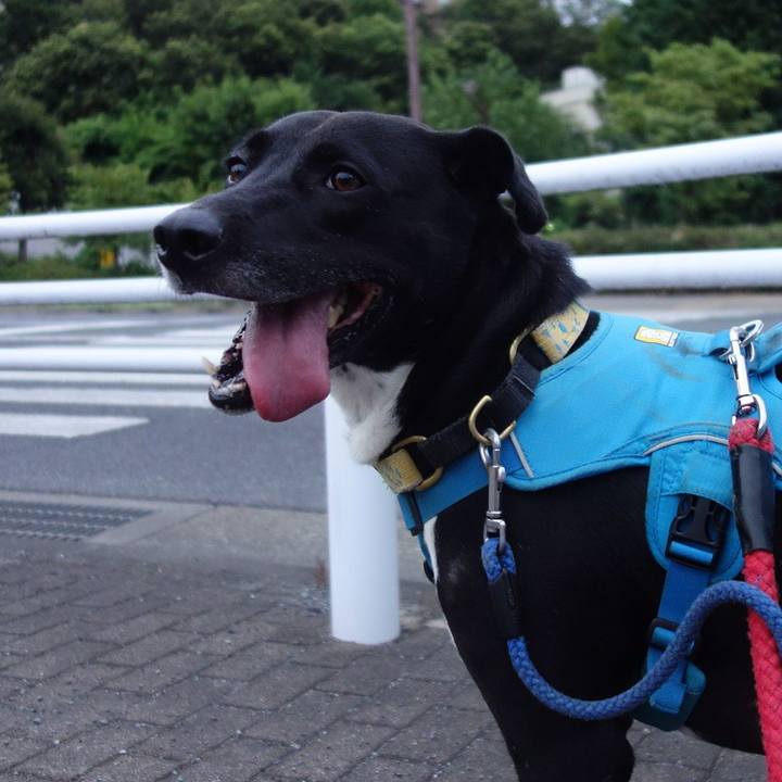 8c60e2d2 b3fb 4bc3 867b e2d0c2a4fff8 1624879299015