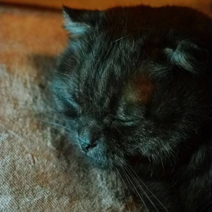 8c610dc8 2c7f 48c7 865a 812f981ecdc6 1625158204260