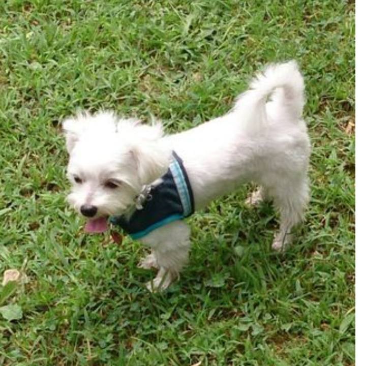 8c611657 12d5 4a00 9b09 dada6b45cfed 1615122363743