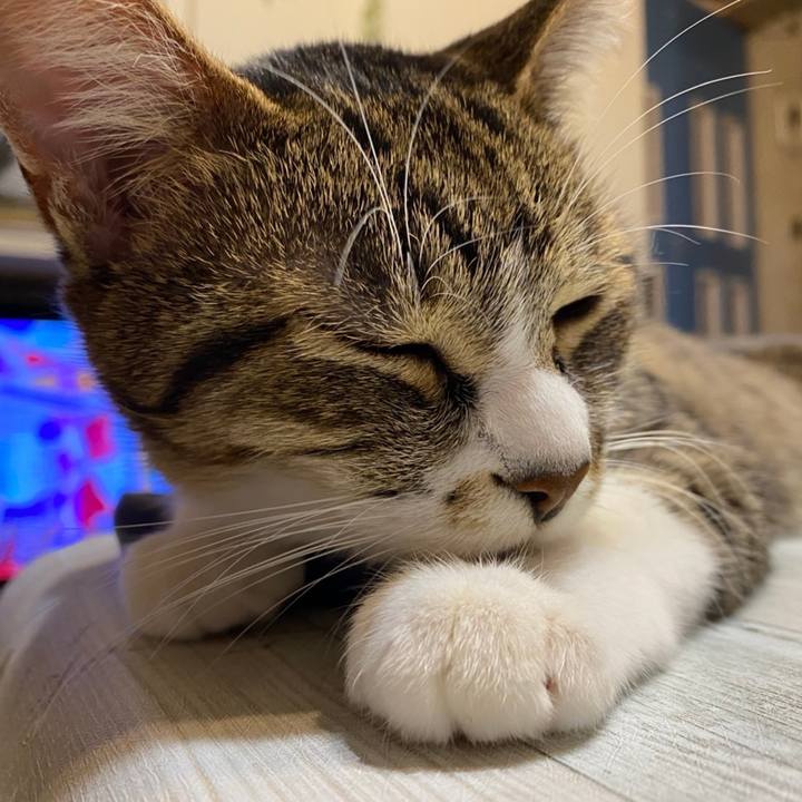 8c61360c 81a1 4abd b0b2 81be2ab49499 1610485111114