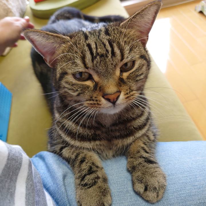 8c614b79 2b9e 426d ba04 f3286715127b 1633819633583