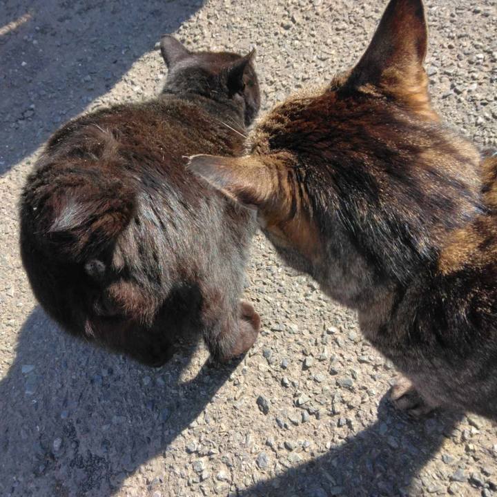 8c615b37 7845 4146 88f1 c448d175e131 1710822788660