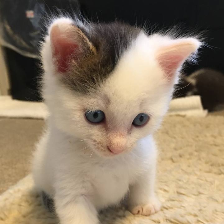 8c616bb0 861a 4295 bb87 a1b0ec68bfb8 1519256734967