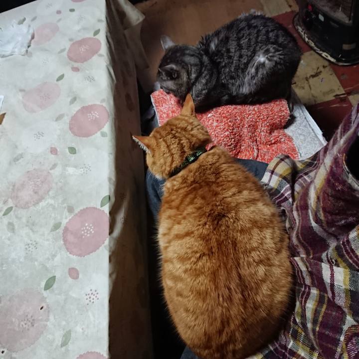 8c616d8b 8817 4288 8b9b 856cc657d398 1581200530881