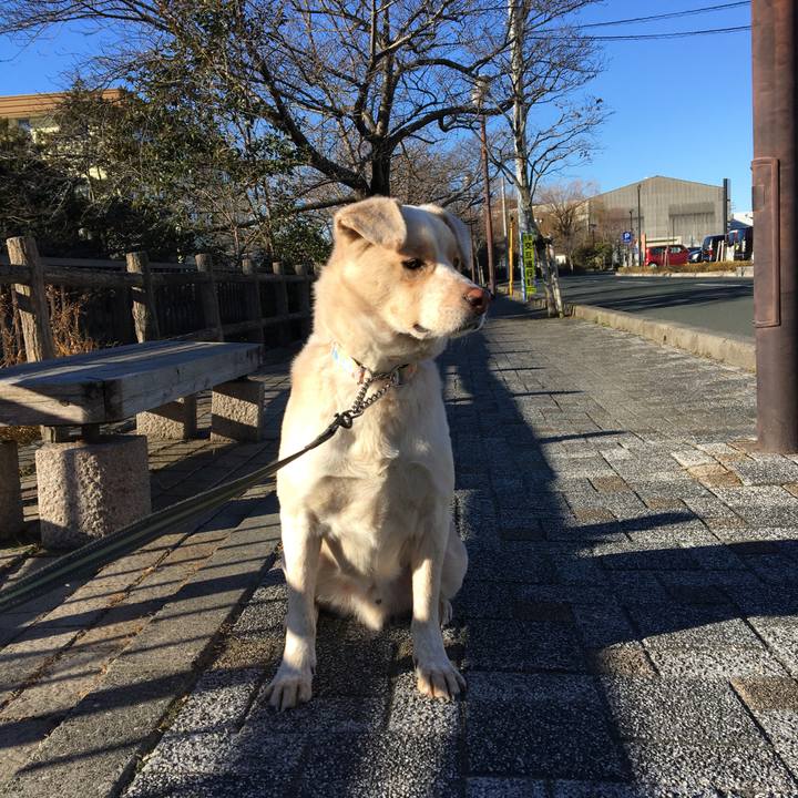 8c618823 8ade 406a 8e55 16ddd718f70f 1515888013192