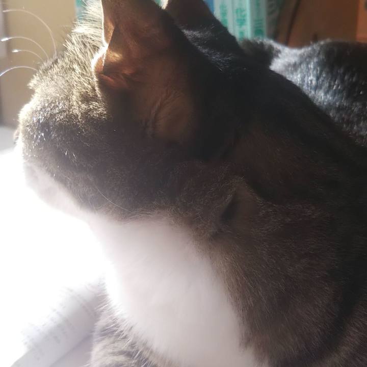 8c61933b 79fa 4dc4 b54d f0327474e168 1605759195934