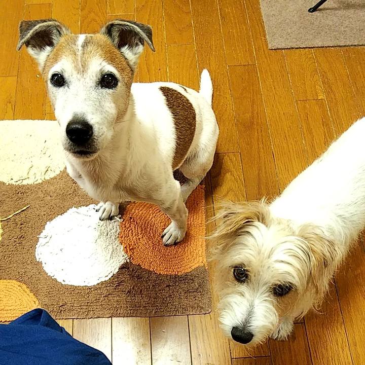 8c61baf5 e01d 4c33 a5cc b1bd677a5be8 1566425749714