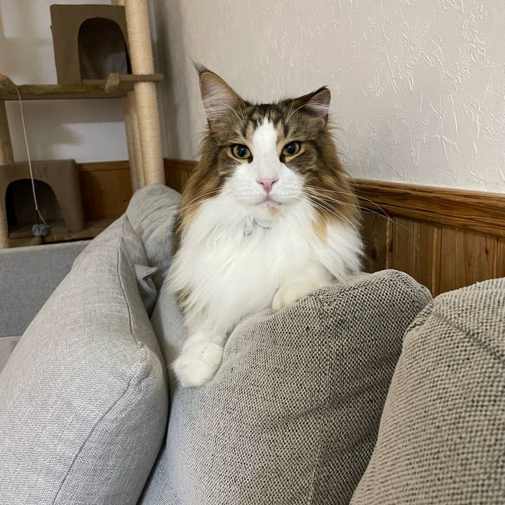 8c61c2b9 0f4c 4515 befb 3e844f15dbca 1668541007386