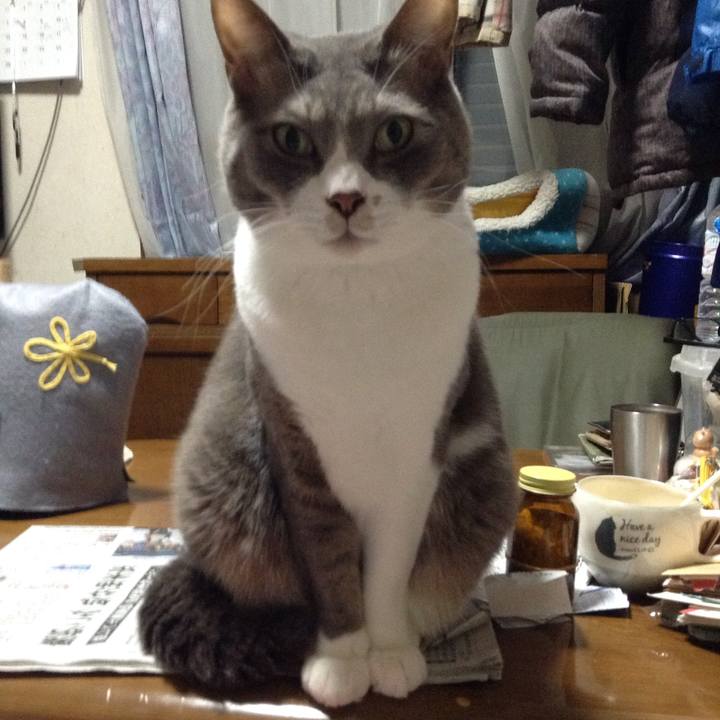 8c61d99d 7409 49e1 9a85 411f59a9372c 1518787701375