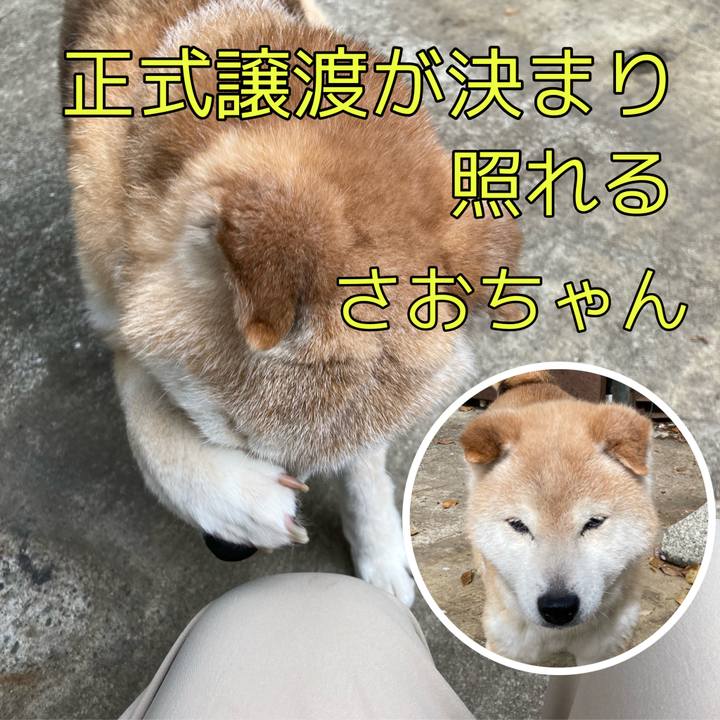 8c61f9df 7b34 4bd7 be10 58e60acaaac6 1653292708897