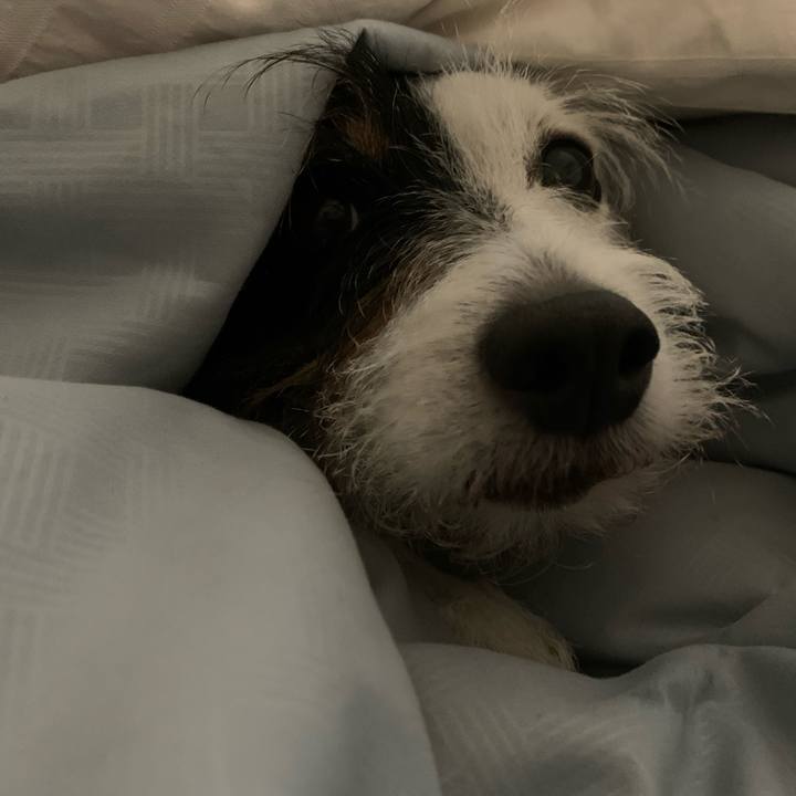 8c620091 82b6 4c55 ac98 6adf4ef91f5c 1629206026637