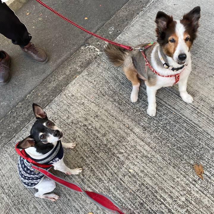 8c624ae4 bf2d 4afd 8221 6197d49930ab 1575074314363