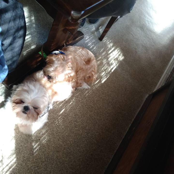 8c62add4 6222 4d95 991b 42cf632af602 1603768483626