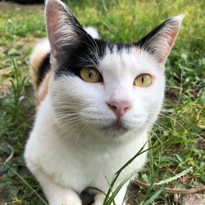 8c62b106 c06d 4cfb beae 22a3f210f88e 1599347693608