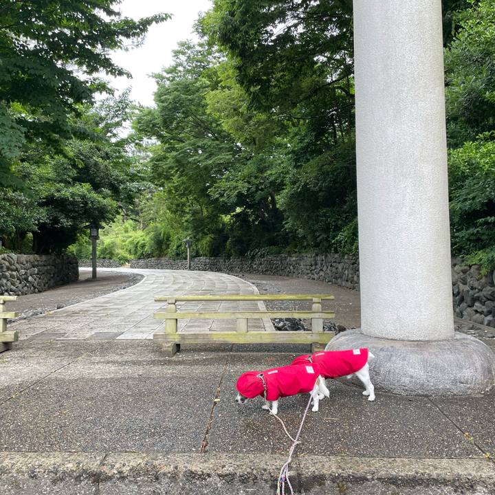 8c62f1bb b315 4b04 9d47 e618faa9188e 1687388844562