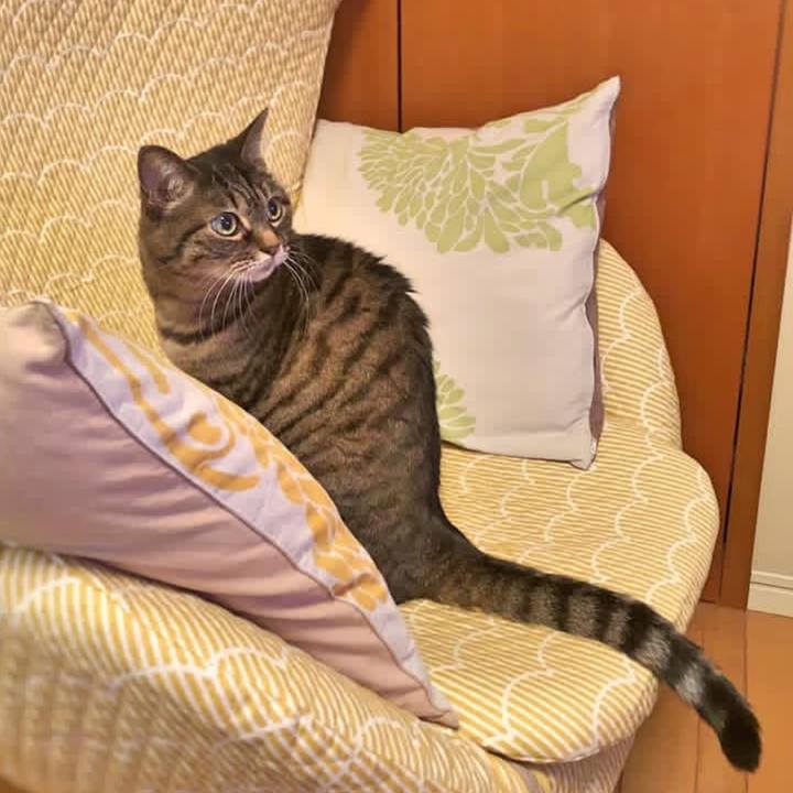 8c62fb9e c5c9 4bb3 92d1 bf5bdf8f2cec 1774102322557