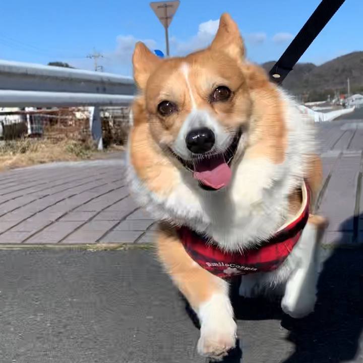 8c63093c f7c0 40fc a1c5 3add98abdd1d 1641026374675