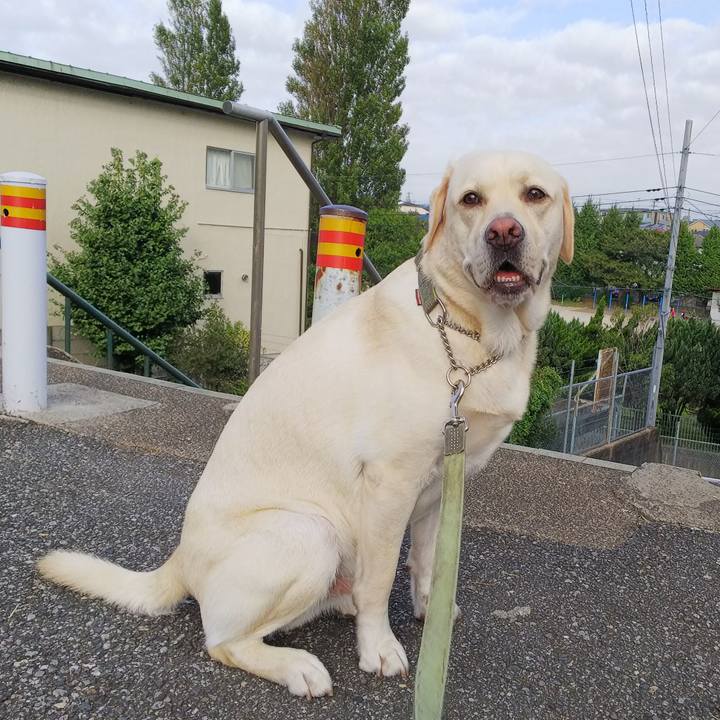 8c630b6e 3e53 437e 82d4 a47c33a7a2b5 1536792153542