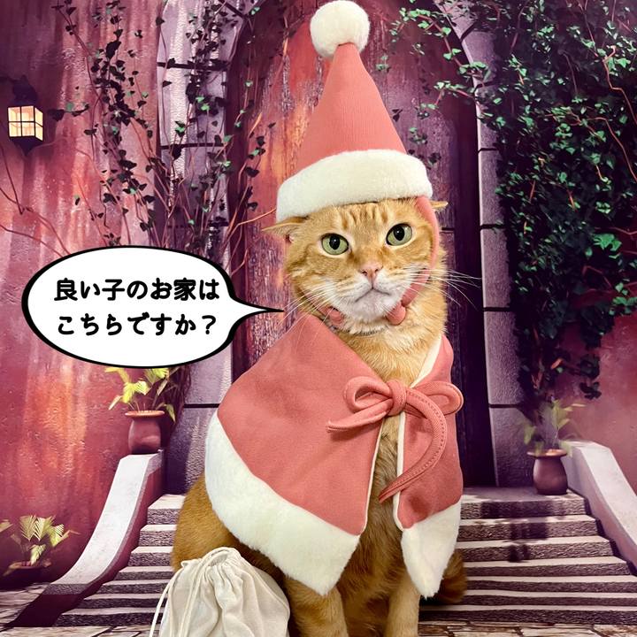 8c6326a7 ad8a 471c 95f8 2da3c0579613 1734992483614