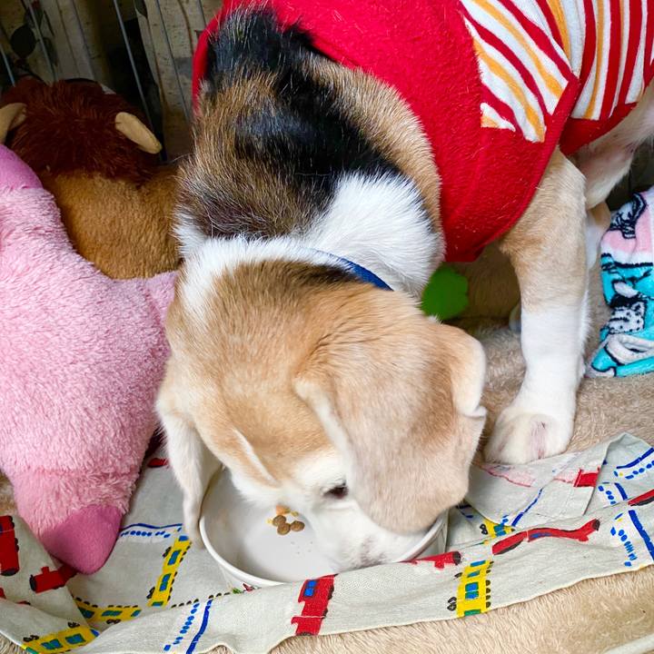 8c632750 d3ac 45e3 add1 90181a9faff4 1588054545882