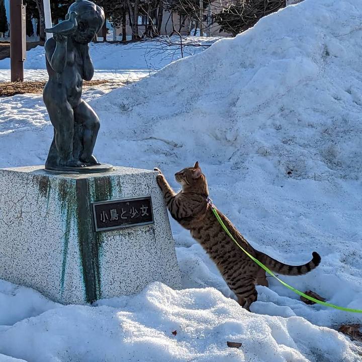 8c638a42 21d2 4a7d a9d5 51212c6a9cbb 1679235581834