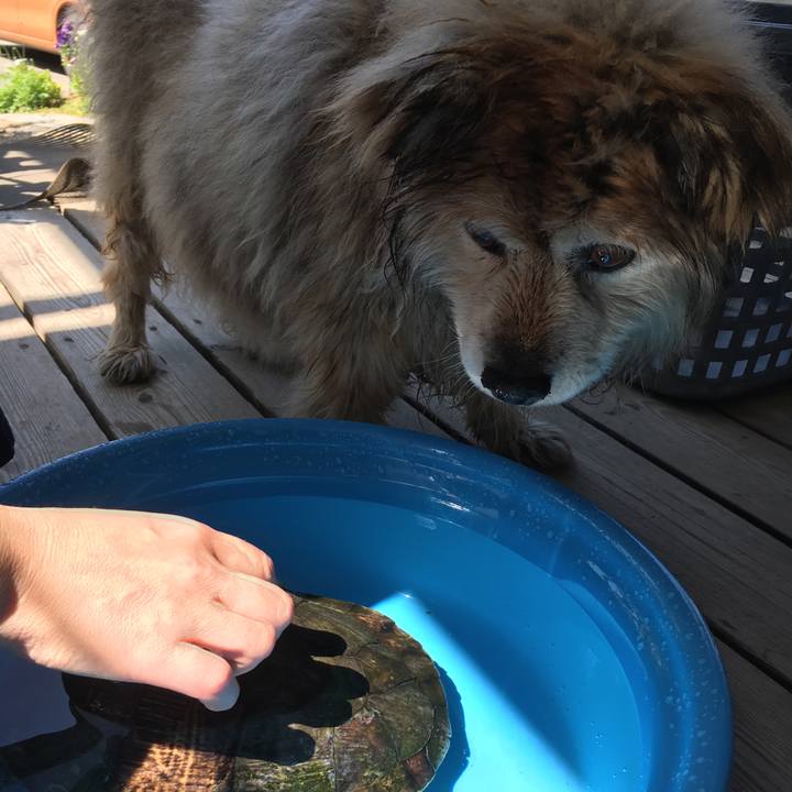 8c6399df 4379 4ffc 92a4 5a624912c03a 1556931580846