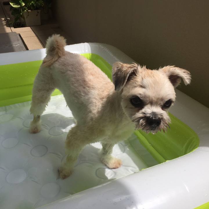 8c63c6f0 4df5 47c1 8b61 9c529c81a2d9 1534130326439