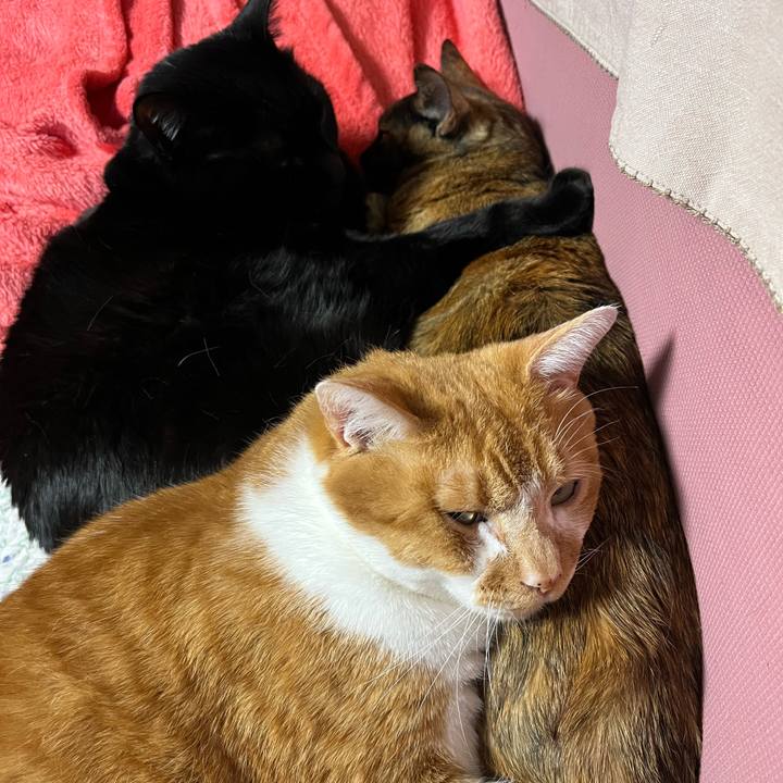 8c63cd00 f60e 4427 a75c a6fb404261d7 1768720648313