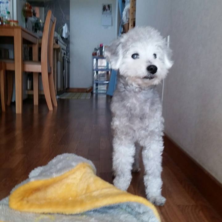 8c63e2c8 4d49 41d6 908f c8a4d5176eeb 1618734178984