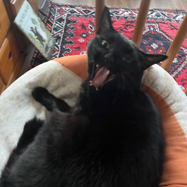 8c641197 6464 4ade 9417 4775268df13a 1698365954173