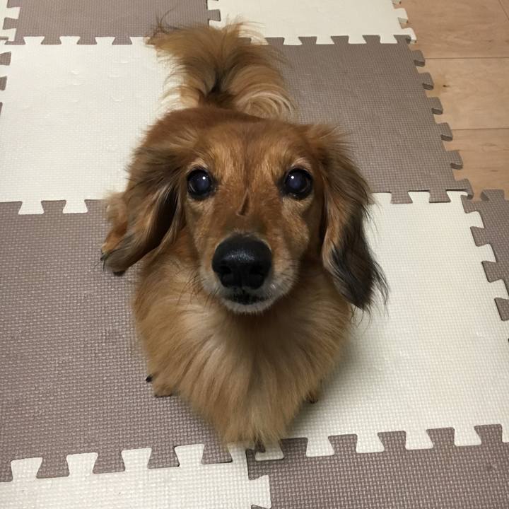 8c64459f 2800 4b8e 864c b55c39a746d0 1542723743703