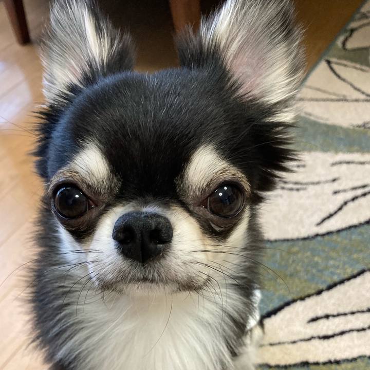 8c6467c8 bc4c 4b82 b4df 73226c08168a 1620080779484