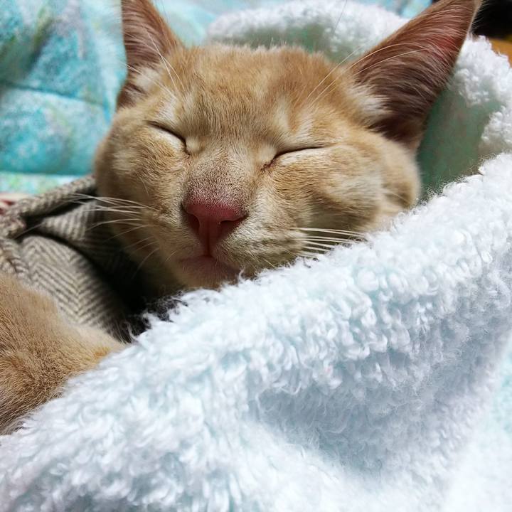 8c649015 7e02 44d7 b3d8 49c607fe1c17 1541583995682