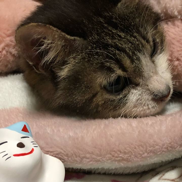 8c6497f0 fd97 402d a954 7dfcb61fb215 1675201161876