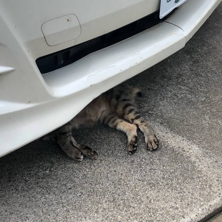 8c64c07a 82be 4b68 9559 876868296893 1657338952973