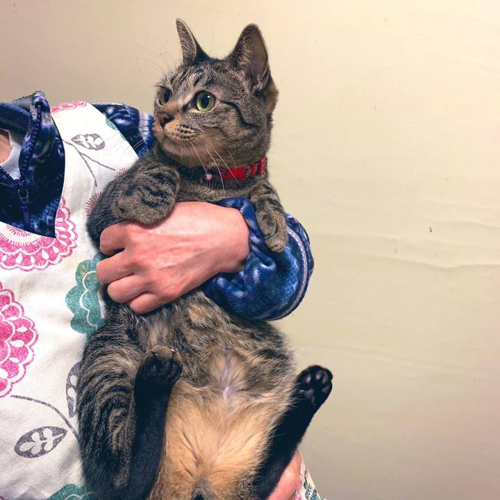 8c64d0bf 041a 4d99 a9ba ada019961a4c 1546856581235