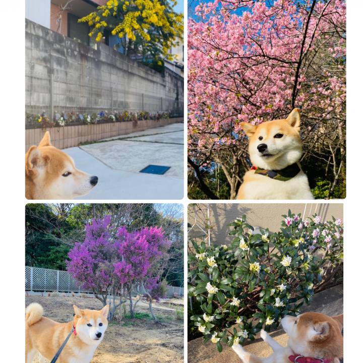 8c64f755 80a0 4f03 8979 c216d8053be4 1614840706254