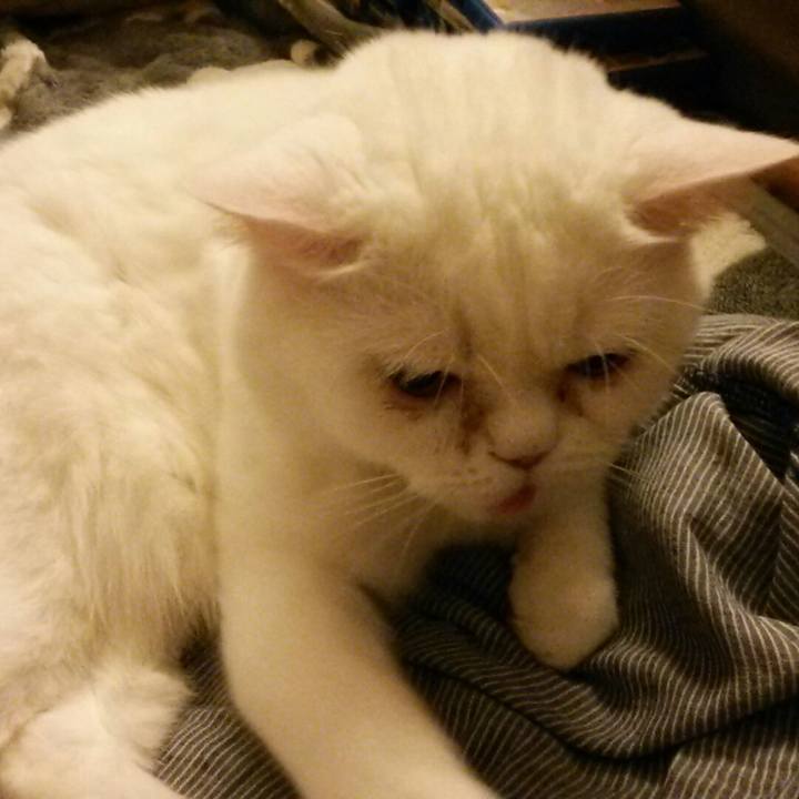 8c650ee5 76a2 40da 86e1 8793e4e40642 1529407578603