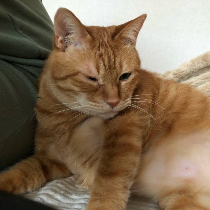 8c6514be 58a4 4f86 99a0 f51fe441c450 1645912332777