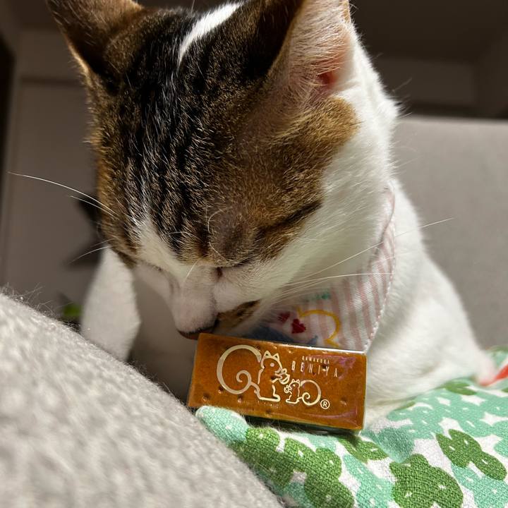 8c653282 6bf9 4456 840c 3a46f29441fc 1759308243461