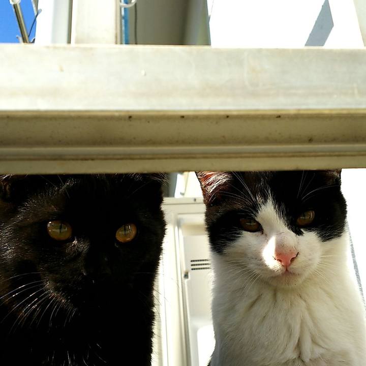 8c65521c 2ace 45b4 9231 c4a70b59fbde 1546314594192