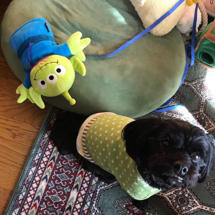 8c6565a2 57ad 4237 a154 4d1f0fe5119e 1547119468123