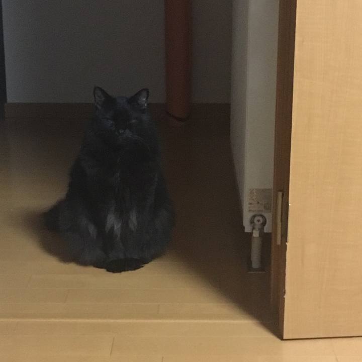 8c656616 80c9 4195 aeda 7e1e61dcc467 1536864314453