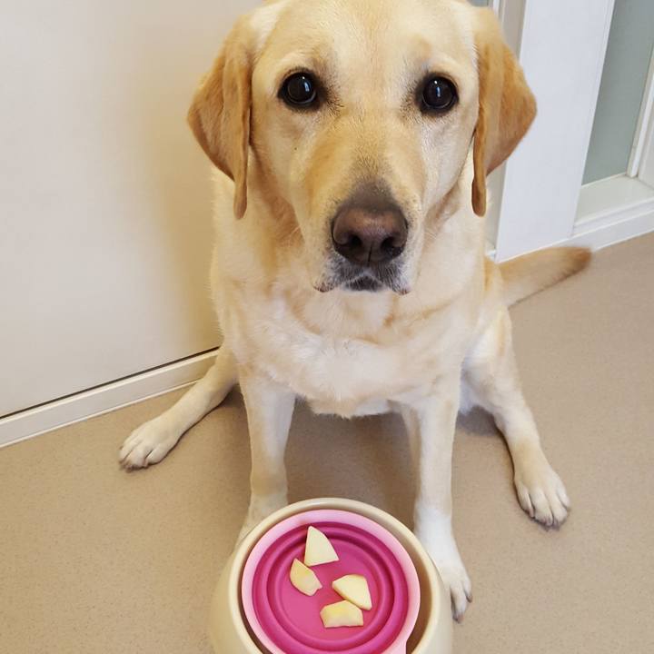 8c656d97 d57e 43fd b3d5 ebbb93b23933 1526004925488