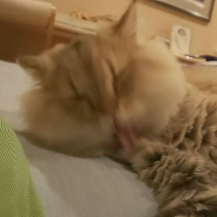 8c659078 d5de 4a0b 93d9 0d39a5806267 1570663720766