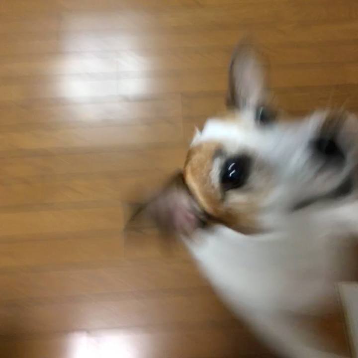 8c65b4bf 0170 4f89 8991 e64138c16088 1569026020756