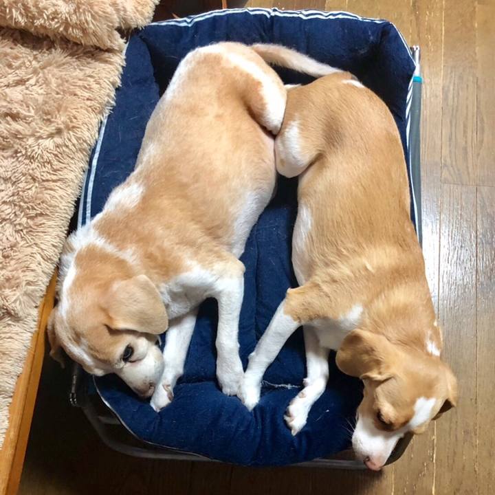 8c65cf23 50b9 460e b8ad 4bfdd88dc014 1560413480920