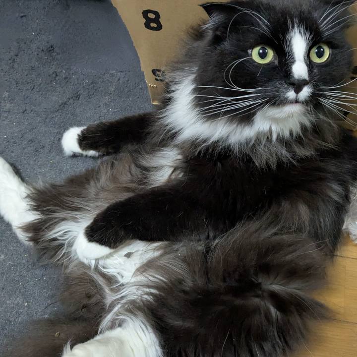 8c65e378 6a2b 4063 a39b bb9a3d1cb82f 1743767148632