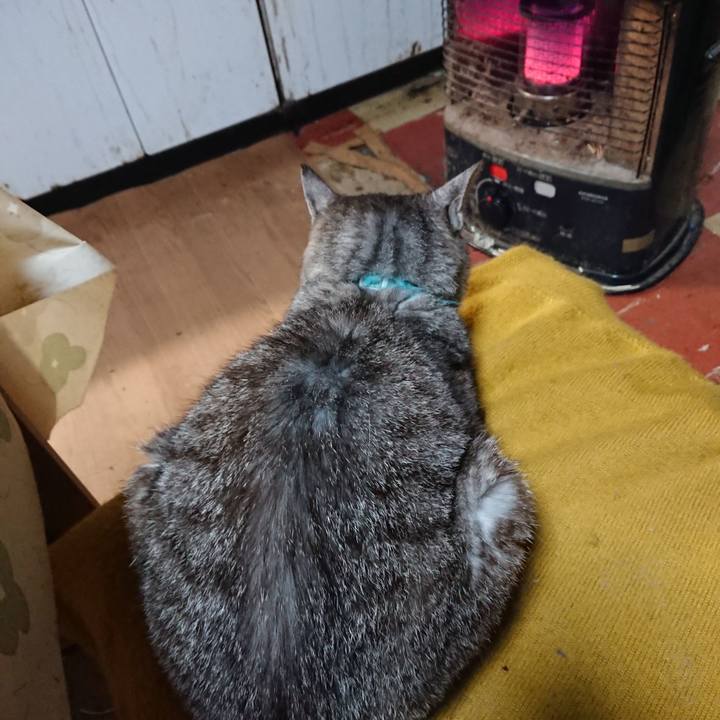 8c65e754 84c0 419c afa2 aed53ebfd6fe 1570743741170